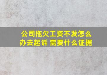 公司拖欠工资不发怎么办去起诉 需要什么证据